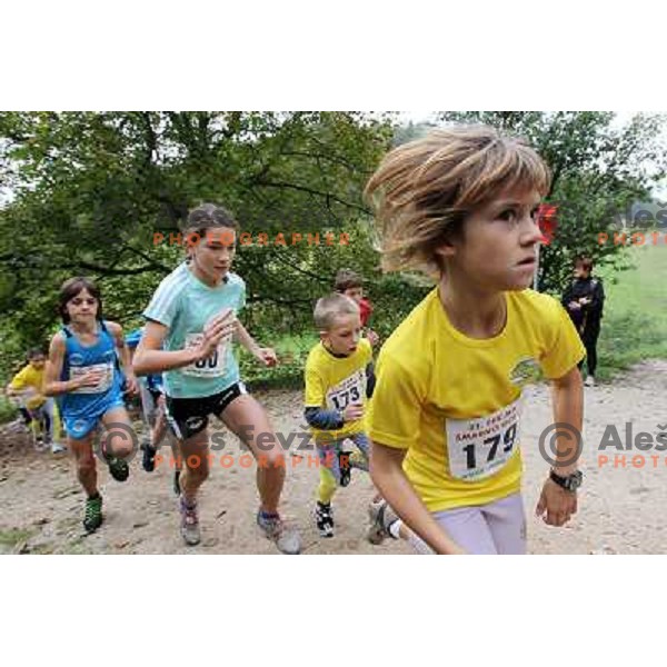 Kids running at 31. Smarna gora mountain race, WMRA Grand Prix- Final, Ljubljana on October 2, 2010 