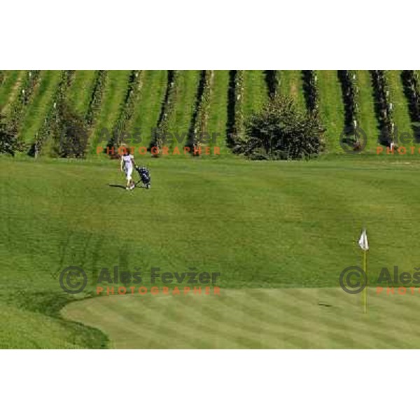 Golf course Zlati gric ( 9 holes, par 36, 2760 meters) in Slovenske Konjice, Slovenia lies in idyllic surroundings between vineyards in Sÿkalce. It is naturally stirred up and entirely rounded up with vineyards. Playing fields are variegated with a b