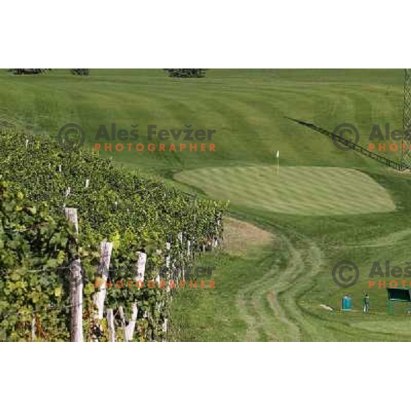Golf course Zlati gric ( 9 holes, par 36, 2760 meters) in Slovenske Konjice, Slovenia lies in idyllic surroundings between vineyards in Sÿkalce. It is naturally stirred up and entirely rounded up with vineyards. Playing fields are variegated with a b