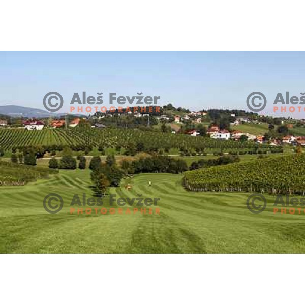 Golf course Zlati gric ( 9 holes, par 36, 2760 meters) in Slovenske Konjice, Slovenia lies in idyllic surroundings between vineyards in Sÿkalce. It is naturally stirred up and entirely rounded up with vineyards. Playing fields are variegated with a b
