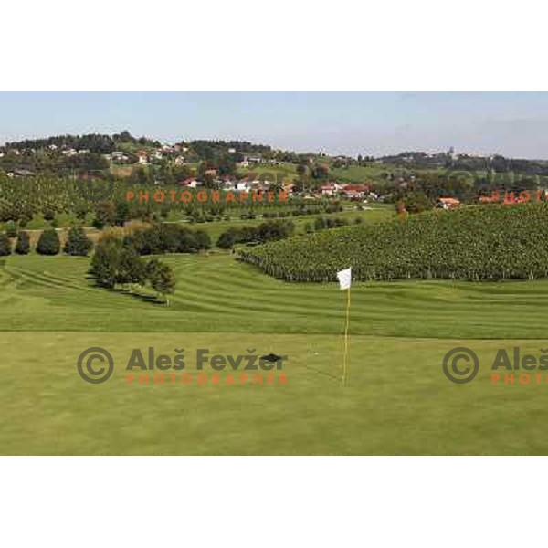Golf course Zlati gric ( 9 holes, par 36, 2760 meters) in Slovenske Konjice, Slovenia lies in idyllic surroundings between vineyards in Sÿkalce. It is naturally stirred up and entirely rounded up with vineyards. Playing fields are variegated with a b
