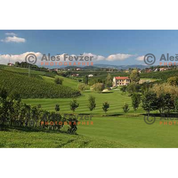 Golf course Zlati gric ( 9 holes, par 36, 2760 meters) in Slovenske Konjice, Slovenia lies in idyllic surroundings between vineyards in Sÿkalce. It is naturally stirred up and entirely rounded up with vineyards. Playing fields are variegated with a b