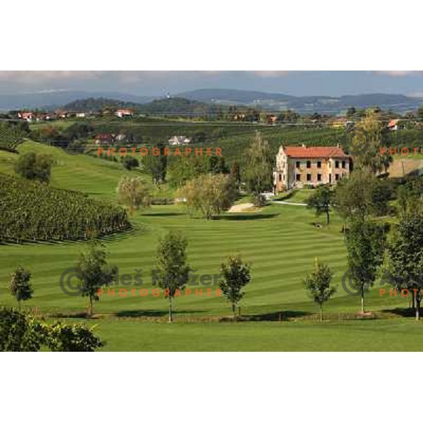 Golf course Zlati gric ( 9 holes, par 36, 2760 meters) in Slovenske Konjice, Slovenia lies in idyllic surroundings between vineyards in Sÿkalce. It is naturally stirred up and entirely rounded up with vineyards. Playing fields are variegated with a b