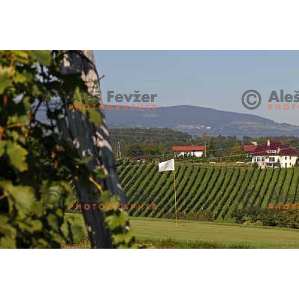 Golf course Zlati gric ( 9 holes, par 36, 2760 meters) in Slovenske Konjice, Slovenia lies in idyllic surroundings between vineyards in Sÿkalce. It is naturally stirred up and entirely rounded up with vineyards. Playing fields are variegated with a b