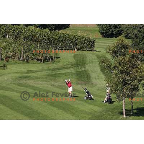 Golf course Zlati gric ( 9 holes, par 36, 2760 meters) in Slovenske Konjice, Slovenia lies in idyllic surroundings between vineyards in Sÿkalce. It is naturally stirred up and entirely rounded up with vineyards. Playing fields are variegated with a b