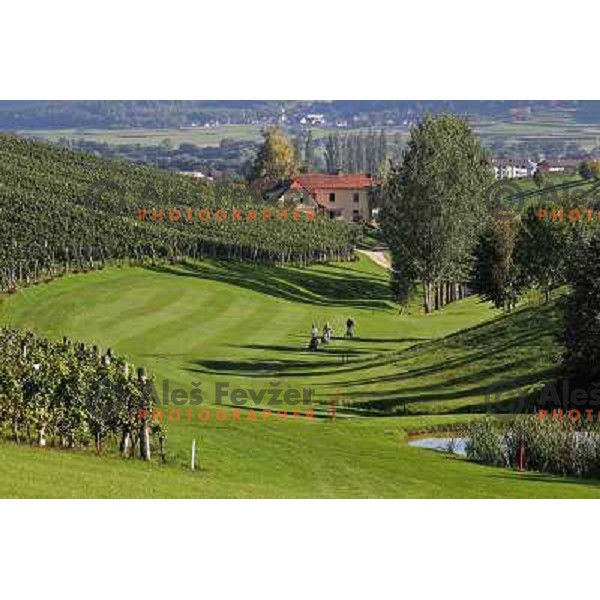 Golf course Zlati gric ( 9 holes, par 36, 2760 meters) in Slovenske Konjice, Slovenia lies in idyllic surroundings between vineyards in Sÿkalce. It is naturally stirred up and entirely rounded up with vineyards. Playing fields are variegated with a b