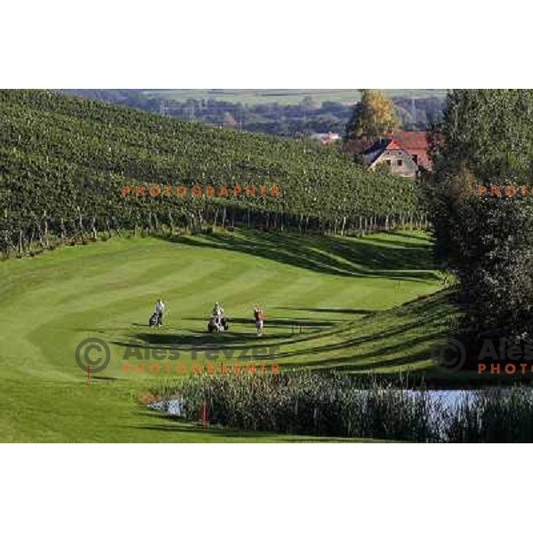 Golf course Zlati gric ( 9 holes, par 36, 2760 meters) in Slovenske Konjice, Slovenia lies in idyllic surroundings between vineyards in Sÿkalce. It is naturally stirred up and entirely rounded up with vineyards. Playing fields are variegated with a b