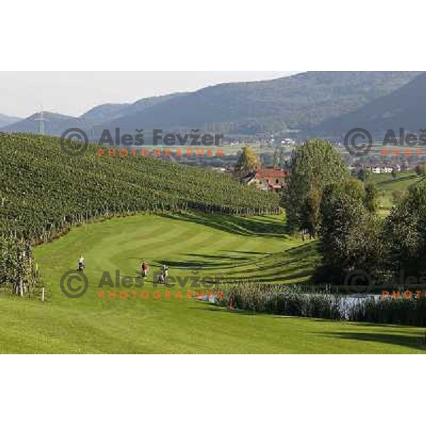 Golf course Zlati gric ( 9 holes, par 36, 2760 meters) in Slovenske Konjice, Slovenia lies in idyllic surroundings between vineyards in Sÿkalce. It is naturally stirred up and entirely rounded up with vineyards. Playing fields are variegated with a b