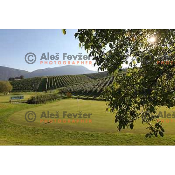 Golf course Zlati gric ( 9 holes, par 36, 2760 meters) in Slovenske Konjice, Slovenia lies in idyllic surroundings between vineyards in Sÿkalce. It is naturally stirred up and entirely rounded up with vineyards. Playing fields are variegated with a b