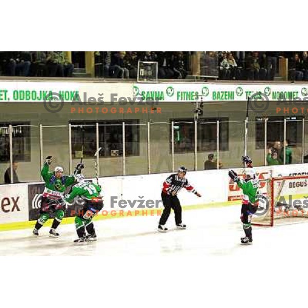 Tilia Olimpija players celebrate goal during ice-hockey match Tilia Olimpija- EC Graz 99ers in Ebel league, played in Hala Tivoli,Ljubljana, Slovenia on October 10,2010 