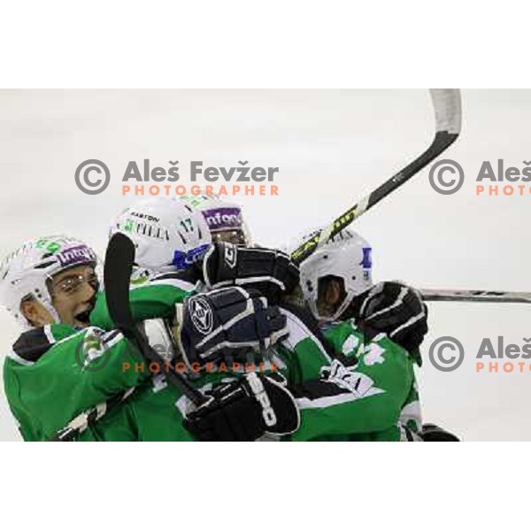 Tilia Olimpija players celebrate goal during ice-hockey match Tilia Olimpija- EC Graz 99ers in Ebel league, played in Hala Tivoli,Ljubljana, Slovenia on October 10,2010 