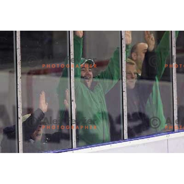 Tilia Olimpija fans celebrate goal during ice-hockey match Tilia Olimpija- EC Graz 99ers in Ebel league, played in Hala Tivoli,Ljubljana, Slovenia on October 10,2010 
