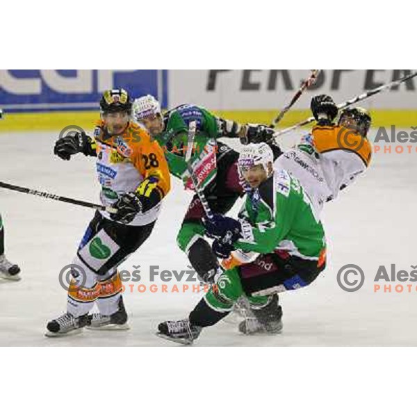 Petr Sachl in action during ice-hockey match Tilia Olimpija- EC Graz 99ers in Ebel league, played in Hala Tivoli,Ljubljana, Slovenia on October 10,2010 