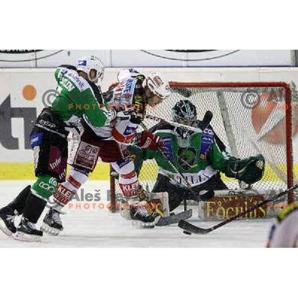 Domen Vedlin, Matija Pintaric of Tilia Olimpija in action during ice-hckey match Tilia Olimpija-KAC in round 12 of EBEL league, played in Hala Tivoli,Ljubljana on October 17,2010 