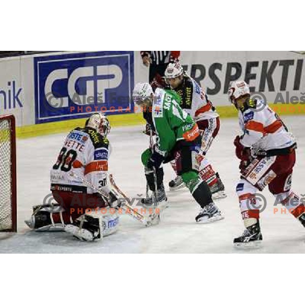 Petr Sachl of Tilia Olimpija in action during ice-hckey match Tilia Olimpija-KAC in round 12 of EBEL league, played in Hala Tivoli,Ljubljana on October 17,2010 