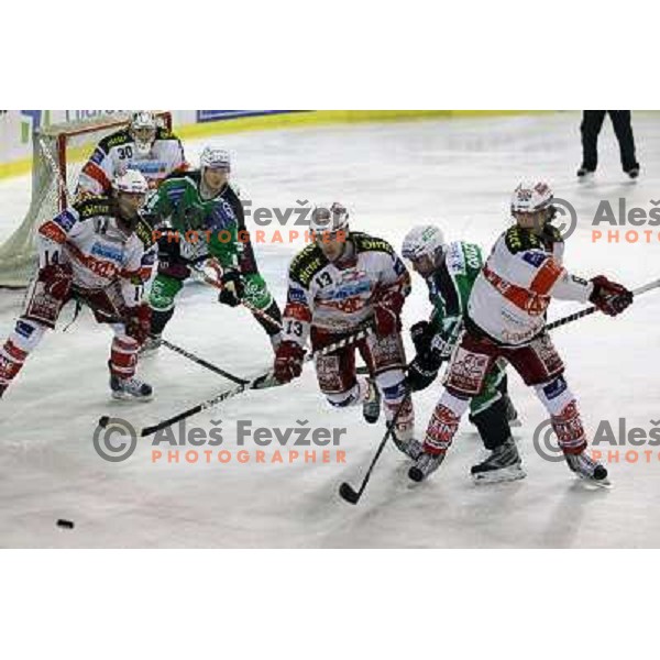 Golicic of Tilia Olimpija in action during ice-hckey match Tilia Olimpija-KAC in round 12 of EBEL league, played in Hala Tivoli,Ljubljana on October 17,2010 