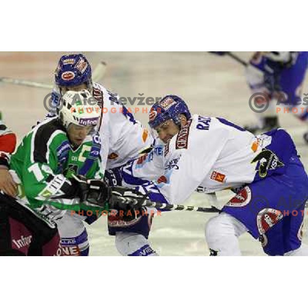 Tomaz Razingar in action during ice-hockey match Tilia Olimpija-VSV in Ebel league, played in Hala Tivoli, Ljubljana, Slovenia on October 26, 2010 