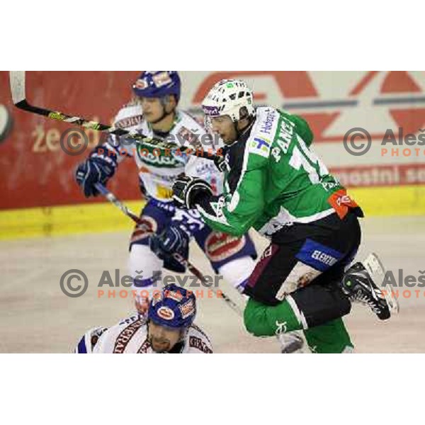 Ziga Pance in action during ice-hockey match Tilia Olimpija-VSV in Ebel league, played in Hala Tivoli, Ljubljana, Slovenia on October 26, 2010 