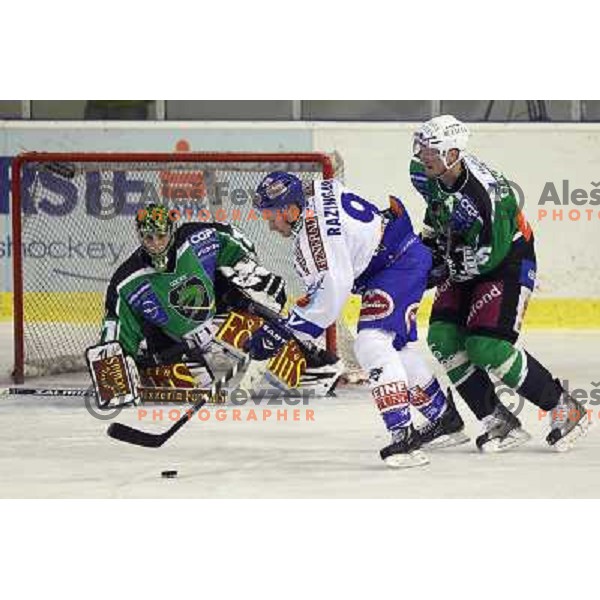 Ales Sila,Tomaz Razingar, Bostjan Groznik in action during ice-hockey match Tilia Olimpija-VSV in Ebel league, played in Hala Tivoli, Ljubljana, Slovenia on October 26, 2010 