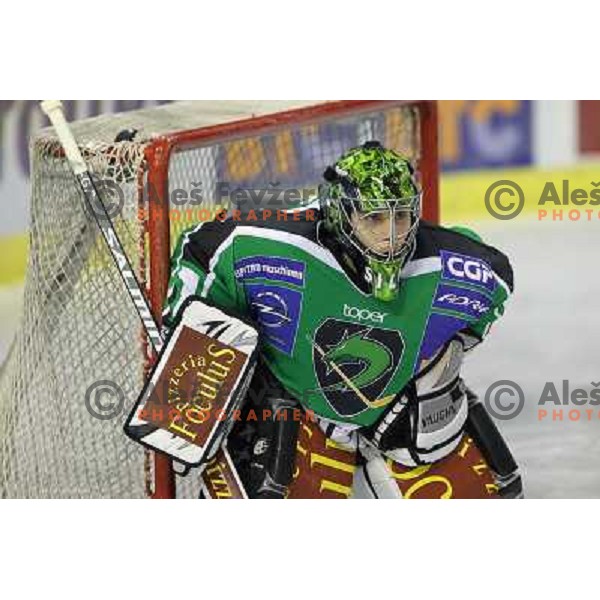 Ales Sila in action during ice-hockey match Tilia Olimpija-VSV in Ebel league, played in Hala Tivoli, Ljubljana, Slovenia on October 26, 2010 