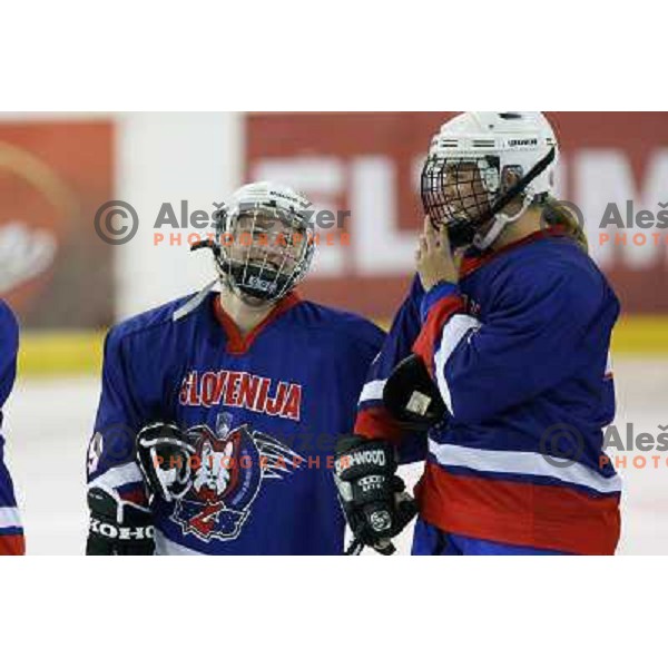 exhibition ice hockey match Slovenia ladies- VIP\'s, played in Hala Tivoli, Ljubljana, Slovenia on December, 12, 2005 