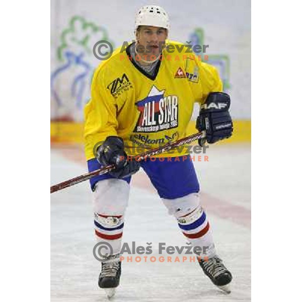 Rene Mlekuz during exhibition ice hockey match Slovenia ladies- VIP\'s, played in Hala Tivoli, Ljubljana, Slovenia on December, 12, 2005 