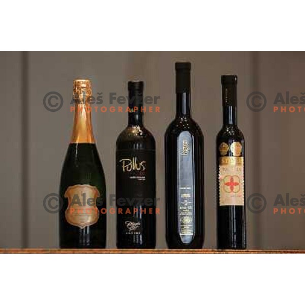 Winning bottles during press conference before 13th slovenian wine festival and 3nd culinary festival in hotel Slon, Ljubljana, Slovenia on November 16,2010 