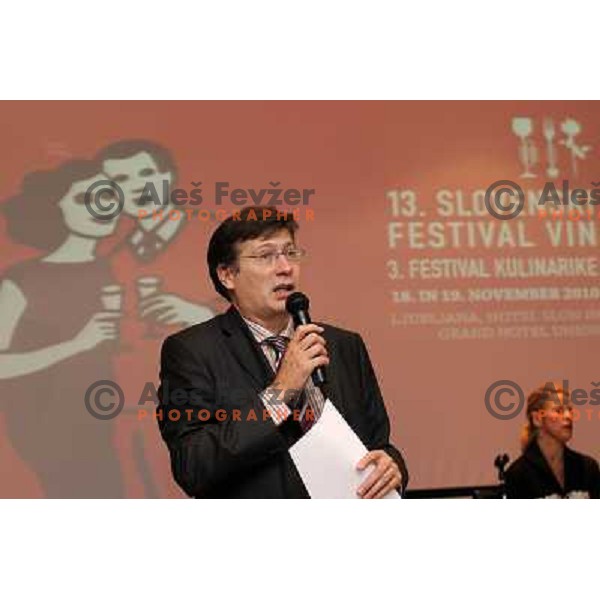 Ambassador of Hungary to Slovenia during press conference before 13th slovenian wine festival and 3nd culinary festival in hotel Slon, Ljubljana, Slovenia on November 16,2010 