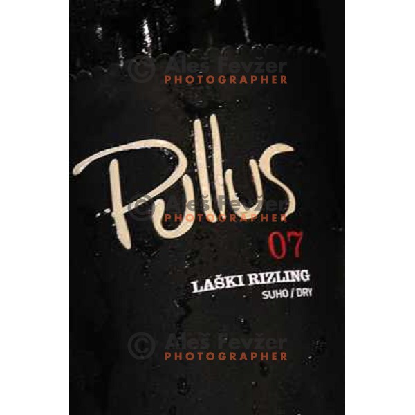 Laski Rizling Pullus 2007, winner in category white wines during press conference before 13th slovenian wine festival and 3nd culinary festival in hotel Slon, Ljubljana, Slovenia on November 16,2010 