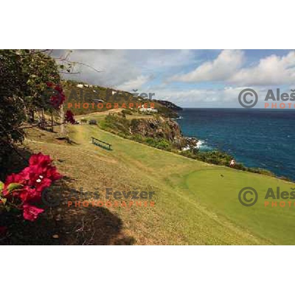 Devils Triangle- hole 14 (par 3, 159 yards) at Mahogany Run golf course (6022 yards, par 70) George and Tom Fazio Design St. Thomas, American Virgin Islands, april 2010 