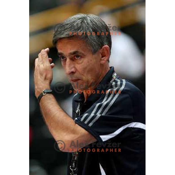 Bogdan Tanjevic watches the game