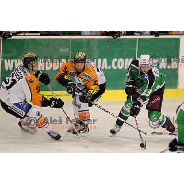 Damjan Dervaric of Tilia Olimpija in action during ice-hockey match Tilia Olimpija- Graz 99ers in round 21 of EBEL league, played in Ljubljana, Slovenia on November 21, 2010 