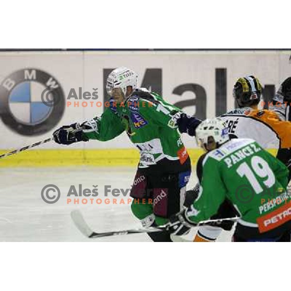 Petr Sachl of Tilia Olimpija in action during ice-hockey match Tilia Olimpija- Graz 99ers in round 21 of EBEL league, played in Ljubljana, Slovenia on November 21, 2010 