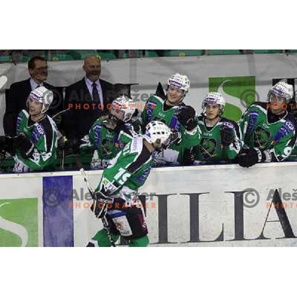 Ziga Pance of Tilia Olimpija in action during ice-hockey match Tilia Olimpija- Graz 99ers in round 21 of EBEL league, played in Ljubljana, Slovenia on November 21, 2010 