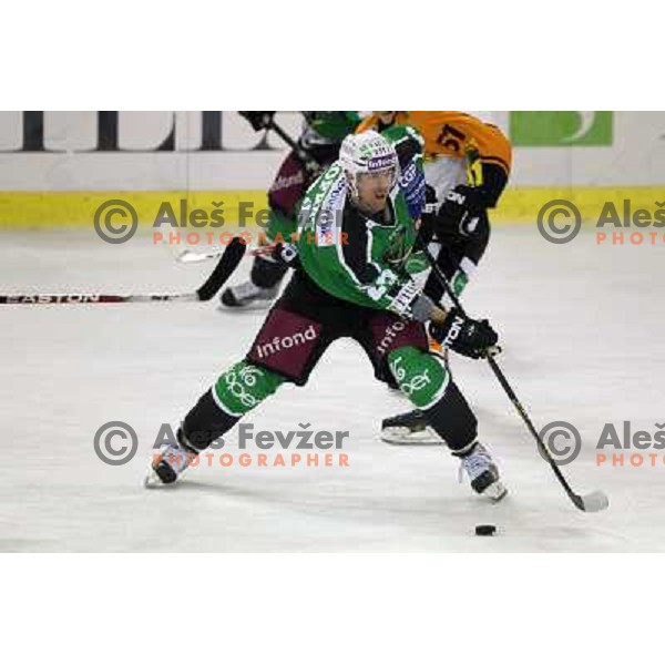 Anze Ropret of Tilia Olimpija in action during ice-hockey match Tilia Olimpija- Graz 99ers in round 21 of EBEL league, played in Ljubljana, Slovenia on November 21, 2010 