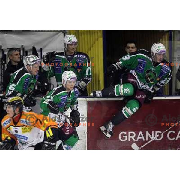 Bostjan Groznik, John Hughes, Ziga Pavlin, Damjan Dervaric of Tilia Olimpija in action during ice-hockey match Tilia Olimpija- Graz 99ers in round 21 of EBEL league, played in Ljubljana, Slovenia on November 21, 2010 