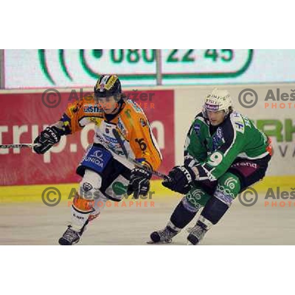  of Tilia Olimpija in action during ice-hockey match Tilia Olimpija- Graz 99ers in round 21 of EBEL league, played in Ljubljana, Slovenia on November 21, 2010 