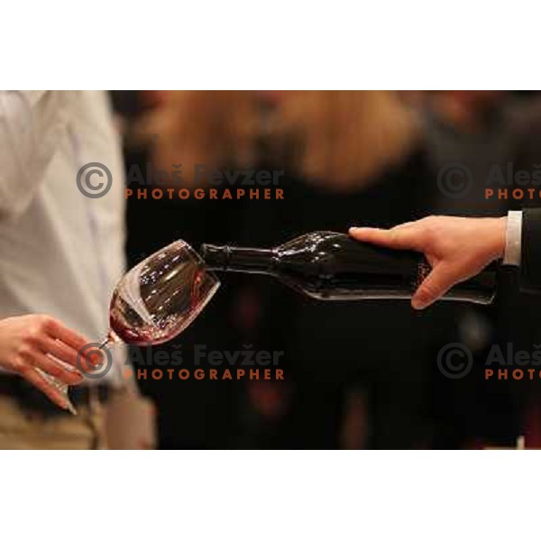  13th slovenian wine festival and 3nd culinary festival in Grand hotel Union and hotel Slon, Ljubljana, Slovenia on November 18,2010 