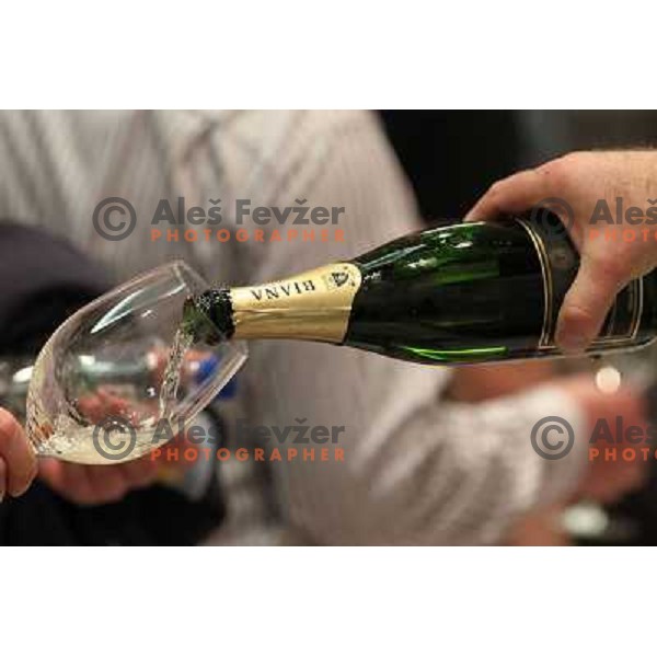  13th slovenian wine festival and 3nd culinary festival in Grand hotel Union and hotel Slon, Ljubljana, Slovenia on November 18,2010 