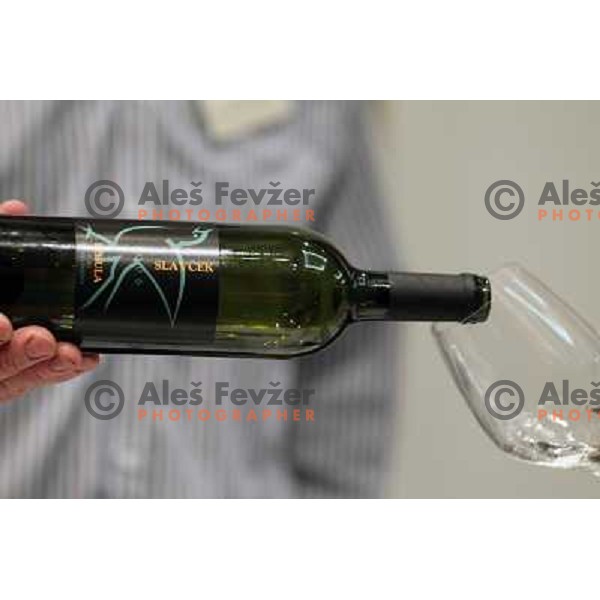  13th slovenian wine festival and 3nd culinary festival in Grand hotel Union and hotel Slon, Ljubljana, Slovenia on November 18,2010 