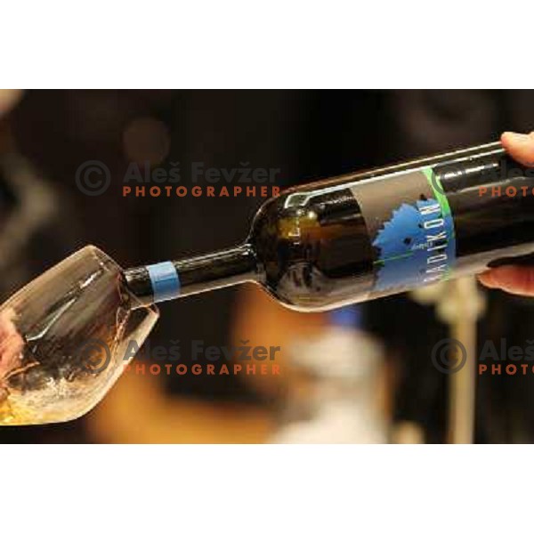  13th slovenian wine festival and 3nd culinary festival in Grand hotel Union and hotel Slon, Ljubljana, Slovenia on November 18,2010 