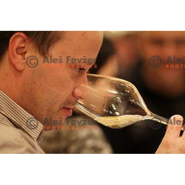 Blazic at 13th slovenian wine festival and 3nd culinary festival in Grand hotel Union and hotel Slon, Ljubljana, Slovenia on November 18,2010 