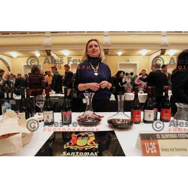  13th slovenian wine festival and 3nd culinary festival in Grand hotel Union and hotel Slon, Ljubljana, Slovenia on November 18,2010 
