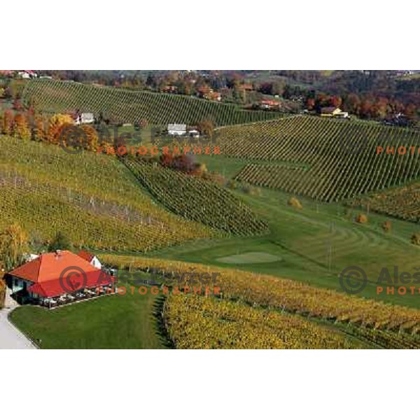 Zlati Gric (Golden Hill) golf course (9 holes, par 36, 2760 meters)at Skalce as seen from the air , Slovenske Konjice, October 2010 