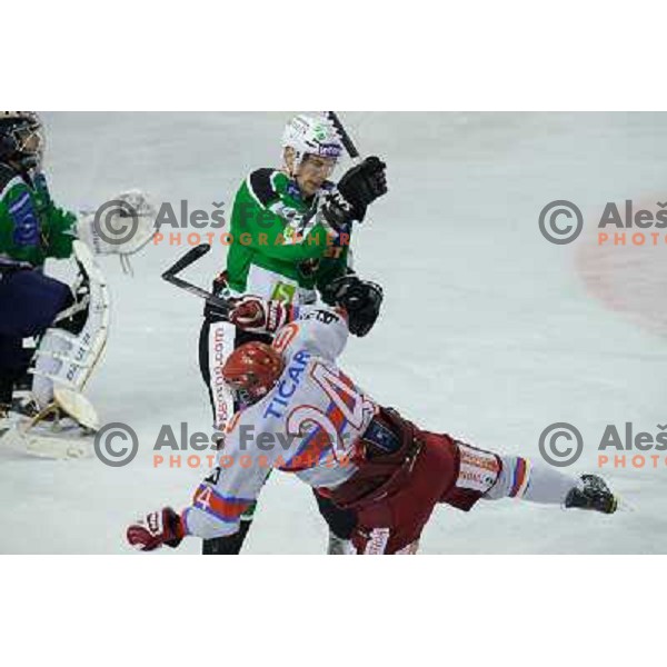 Bostjan Groznik, Rok Ticar at the ice hockey game Olimpija - Jesenice , played in the Erstebank Ice Hockey league , Tivoli , Ljubljana , 10.12.2010 