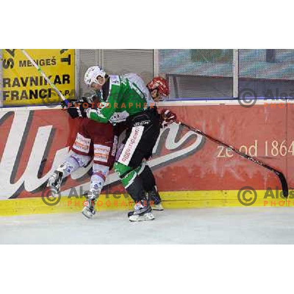 Ziga Pance at the ice hockey game Olimpija - Jesenice , played in the Erstebank Ice Hockey league , Tivoli , Ljubljana , 10.12.2010 