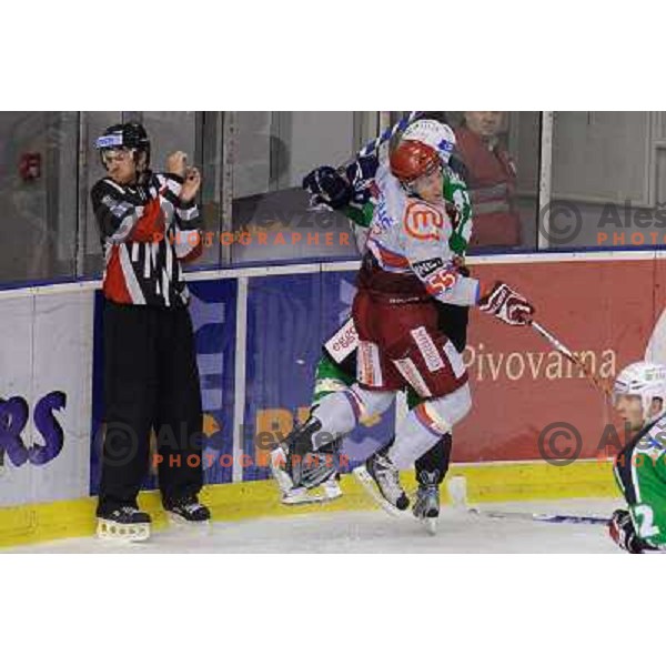 Petr Sachl, Robert Sabolic at the ice hockey game Olimpija - Jesenice , played in the Erstebank Ice Hockey league , Tivoli , Ljubljana , 10.12.2010 
