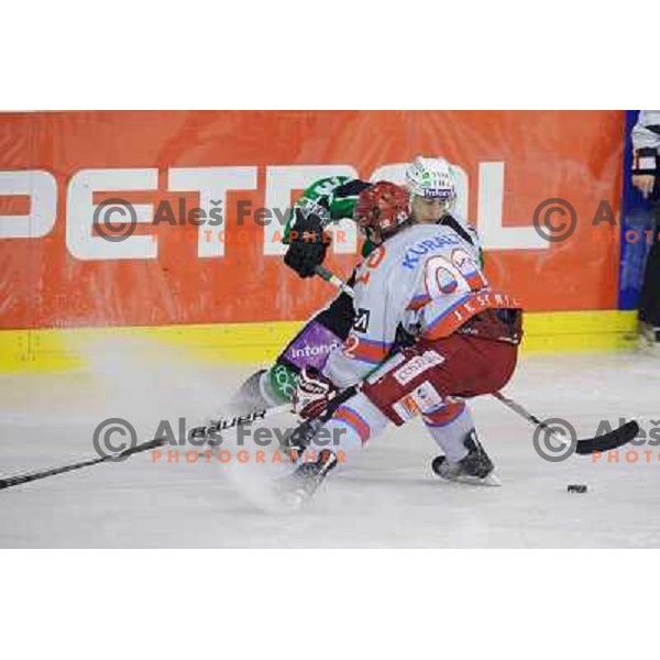 Erik Pance, Anze Kuralt at the ice hockey game Olimpija - Jesenice , played in the Erstebank Ice Hockey league , Tivoli , Ljubljana , 10.12.2010 