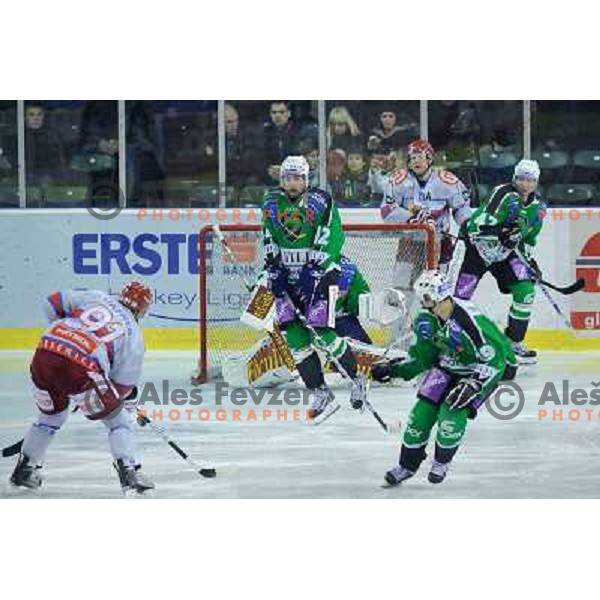 Petr Sachl at the ice hockey game Olimpija - Jesenice , played in the Erstebank Ice Hockey league , Tivoli , Ljubljana , 10.12.2010 