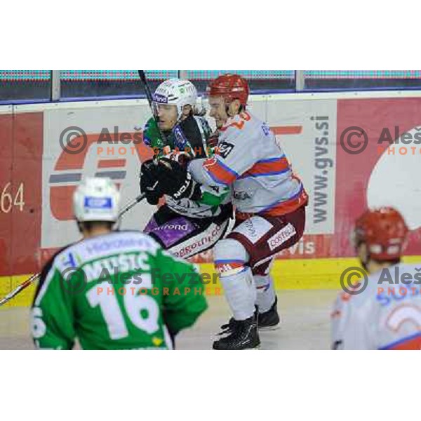 Tomi Mustonen, Jure Dolinsek at the ice hockey game Olimpija - Jesenice , played in the Erstebank Ice Hockey league , Tivoli , Ljubljana , 10.12.2010 